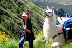 Booking (trips, stays, etc.): Coming Soon: Llama Trek!