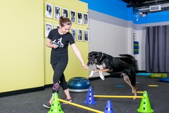 Booking (trips, stays, etc.): Fitness Classes for you & your dog!