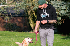 Free: How to walk your dog with ease- tips & tools