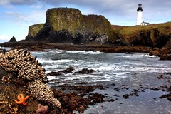 Free: Yaquina Head Outstanding Natural Area