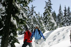 Booking (trips, stays, etc.): Snowshoe in the Cascades
