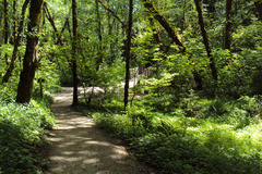 Free: Tryon Creek State Park