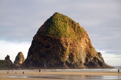 Booking (trips, stays, etc.): Oregon Coast Tour with Wildwood Adventures