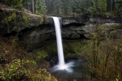 Varies/Learn More: Silver Falls State Park - Trail of Ten Falls