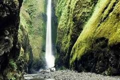 Free: Oneonta Gorge and Lower Falls Hike
