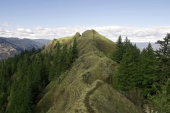 Free: Munra Point Trail: Columbia River Gorge 