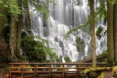 Varies/Learn More: Hike to Ramona Falls: Mt. Hood National Forest 