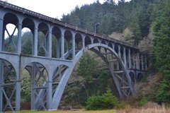 Free: Cape Creek Bridge