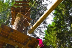 Booking (trips, stays, etc.): Aerial Obstacle Course - Tree To Tree Adventure Park
