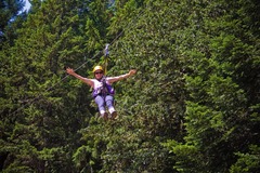 Booking (trips, stays, etc.): Zip Line Tour - Tree To Tree Adventure Park!
