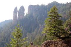 Booking (trips, stays, etc.): Hike the Rooster Rock Loop: Menagerie Wilderness
