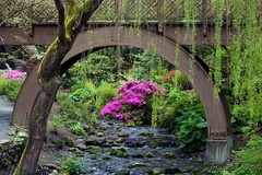 Free: Crystal Springs Rhododendron Garden