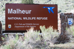 Free: Exploring Malheur National Wildlife Refuge + Beyond