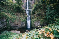 Booking (trips, stays, etc.): Multnomah Falls & Gorge Waterfalls  Tour 9AM