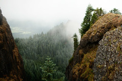 Free: Hike Saddle Mountain Near the Oregon Coast