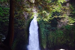 Varies/Learn More: Wahclella Falls Hike in the Columbia Gorge