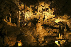 Booking (trips, stays, etc.): Oregon Caves National Monument & Preserve