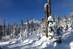Donation: Ski at the Teacup Lake Nordic Area - Mt. Hood