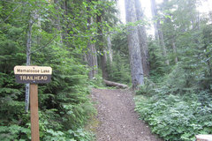 Varies/Learn More: Memaloose Lake Trail through Old Growth Forest