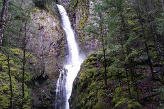 Free: Lower Starvation Loop Hike in the Columbia Gorge