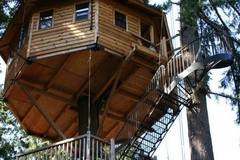 Booking (trips, stays, etc.): Out'n'About Treehouse Treesort 