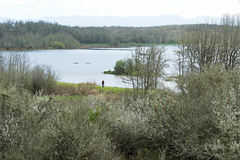 Free: Finley National Wildlife Refuge in the Willamette Valley
