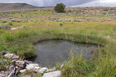 Free: Soak at the Hart Mountain Hot Springs (Antelope Hot Springs)