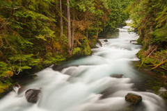 Free: McKenzie River Waterfall Loop Trail