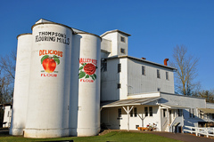 Free: Thompson's Mills State Heritage Site