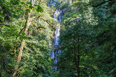 Free: Hike to Munson Creek Falls