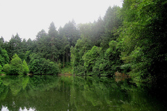 Free: Explore Peavy Arboretum in Corvallis