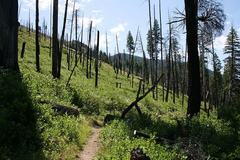 Free: Lookout Mountain Trail - Ochoco National Forest 