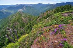 Free: Kings Mountain Hike - Tillamook State Forest