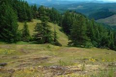 Free: Horse Rock Ridge Hike