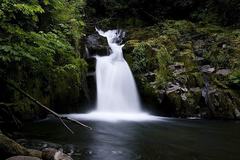 Varies/Learn More: Sweet Creek Falls Trails