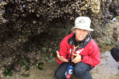 Free: Haystack Rock Tide Pools, Birds, and More--Oh My!