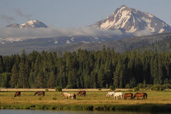 Varies/Learn More: Black Butte Ranch + Winter Fun in Central Oregon