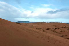 Varies/Learn More: John Dellenback Trail: Spectacular Dunes + More