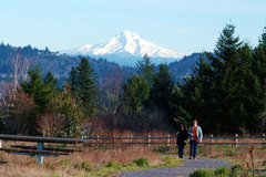 Free: Powell Butte Nature Park in SE Portland