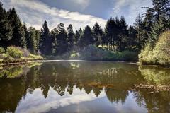 Varies/Learn More: Coastal Forest Bliss at the Salishan Resort