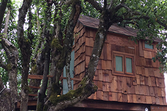 Booking (trips, stays, etc.): Tiny Serene Art-filled Treehouse