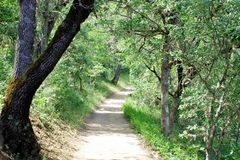 Free: Hike Upper Table Rock Trail - Southern OR