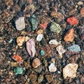 Donation: Tracing Geological History Through Rocks and Minerals